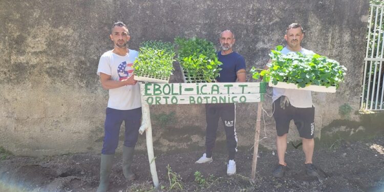 Coldiretti Salerno dona delle piantine per l’ orto condiviso del carcere di Eboli