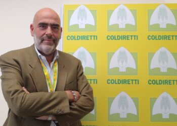 Stop al fotovoltaico selvaggio. La soddisfazione di Coldiretti Campania