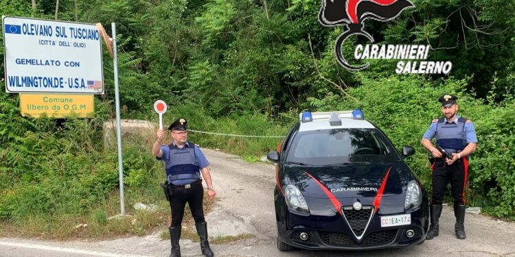 Aggredisce la mamma e la sorella e tenta di colpire i Carabinieri con un palo di ferro