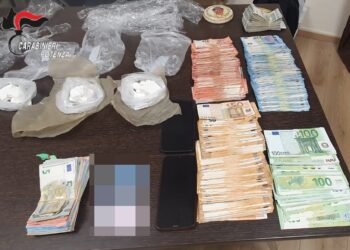 Lagonegro. Carabinieri sequestrano 160 grammi di cocaina e 110 mila euro ad un imprenditore