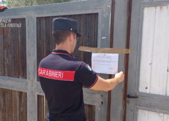 Struttura turistica realizza 83 alloggi abusivi a Castellabate: sequestrati dai Carabinieri del Parco