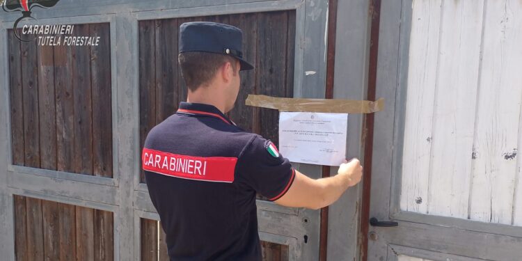 Struttura turistica realizza 83 alloggi abusivi a Castellabate: sequestrati dai Carabinieri del Parco