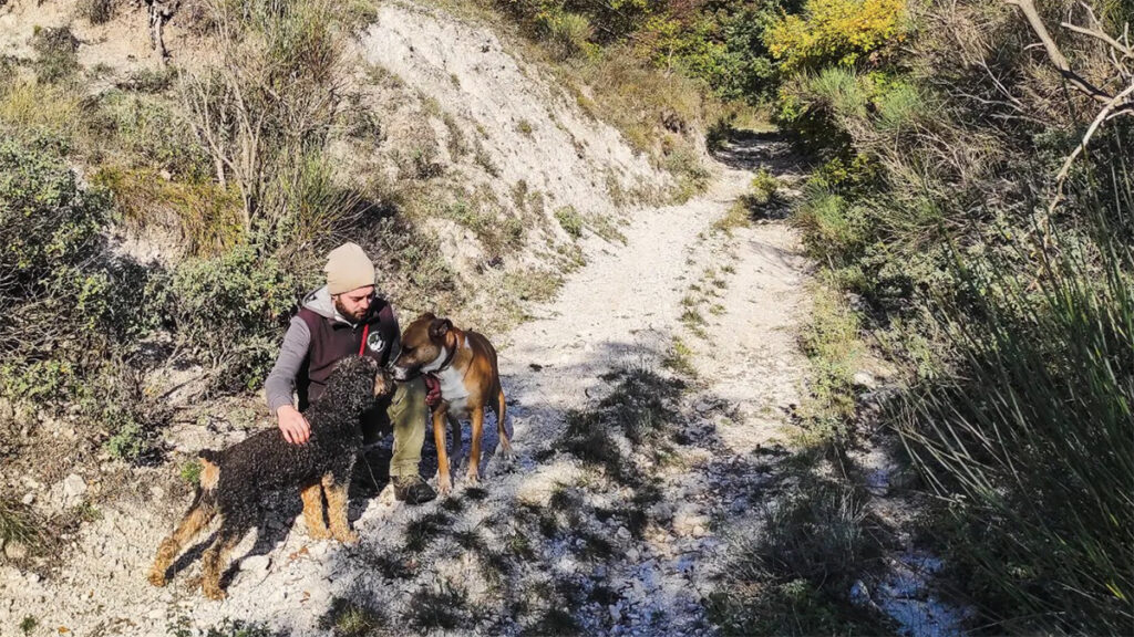 educazione cinofila in montagna