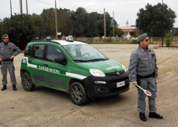 Abusi edilizi e incendi nel Parco del Cilento, Vallo di Diano e Alburni: oltre 4 mila controlli da inizio anno