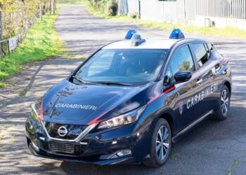 Potenza: giovane arrestato per detenzione e spaccio di stupefacenti