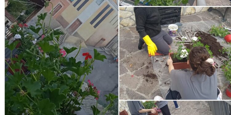 Abbelliscono una piazzetta del centro storico con dei fiori. L’iniziativa di cinque donne di Sassano