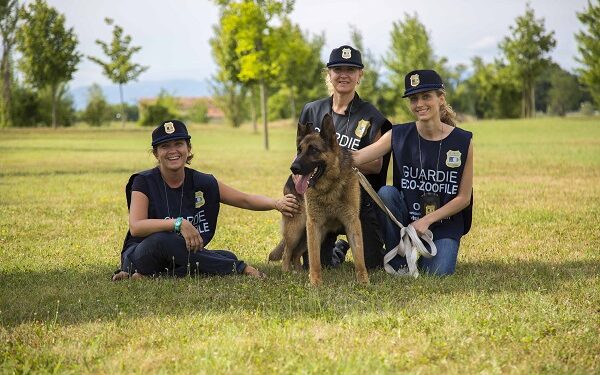 Oipa: aperte in Campania le iscrizioni per diventare guardia zoofila