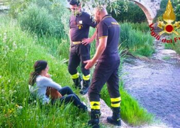 Cagnolino cade nel fiume e rischia di annegare: salvato dai Vigili del Fuoco