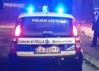 Cane con carenze igieniche sanitarie in una casa a Polla. L’animale affidato all’ex proprietaria