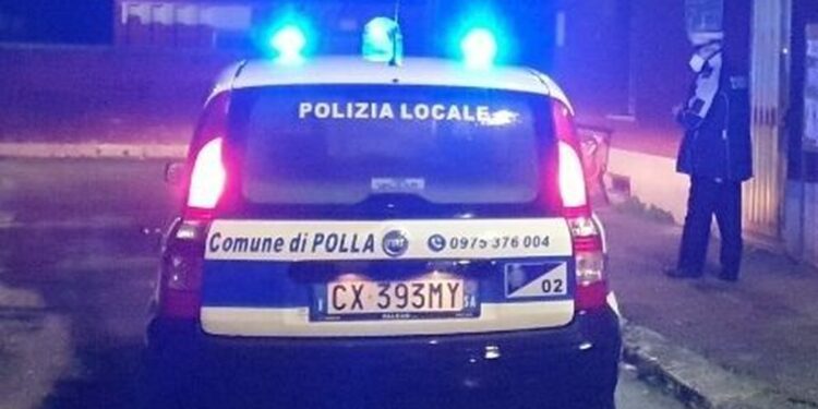 Cane con carenze igieniche sanitarie in una casa a Polla. L’animale affidato all’ex proprietaria