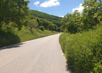 Stato di trascuratezza delle Strade Provinciali di Montesano Sulla Marcellana