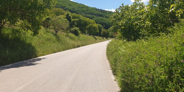 Stato di trascuratezza delle Strade Provinciali di Montesano Sulla Marcellana