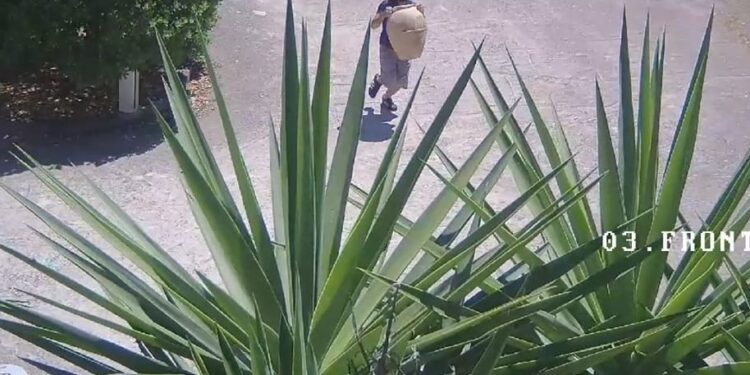 Continuano i furti di anfore: ladri in azione a Pertosa