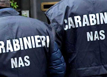 Bloccati quindici siti web esteri che vendevano farmaci illeciti: operazione dei carabinieri del Nas di Salerno