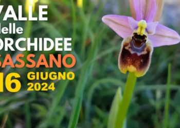 Valle delle Orchidee 2024: un’imperdibile giornata tra natura e cultura