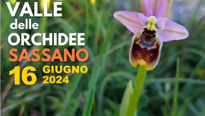 Valle delle Orchidee 2024: un’imperdibile giornata tra natura e cultura