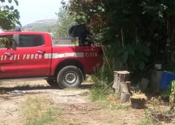 Eboli: ritrovato un cadavere in un casolare