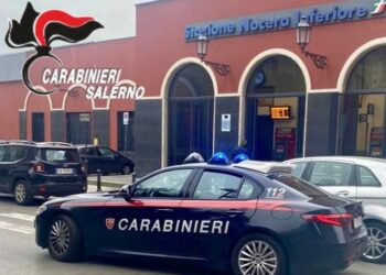 Maltrattamenti, furti e spaccio: le operazioni del Comando dei Carabinieri di Salerno