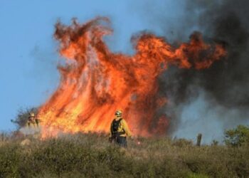 Incendi boschivi in Campania: dal 15 giugno al via periodo di grave pericolosità