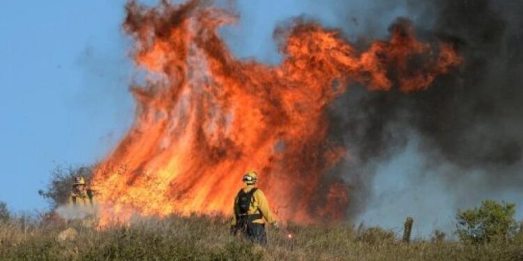 Incendi boschivi in Campania: dal 15 giugno al via periodo di grave pericolosità