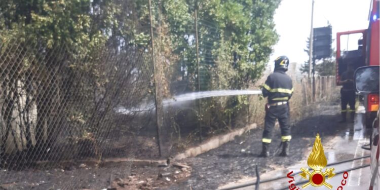 Fiamme a pochi passi dall’ospedale di Campolongo
