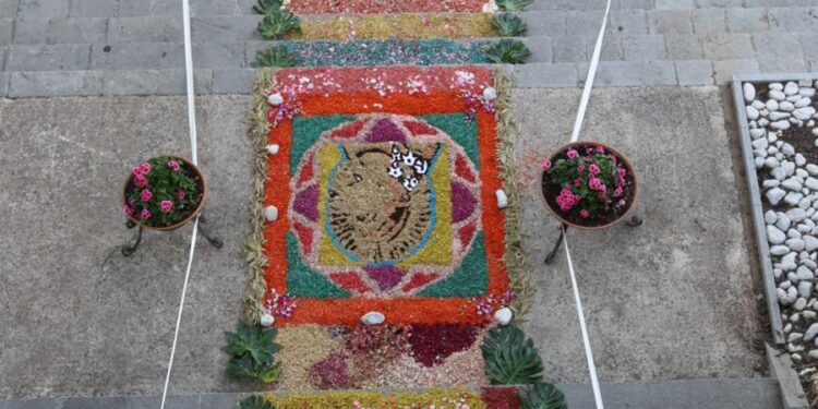 Successo a Polla per le feste dedicate a Sant’Antonio. Emozioni da Sant’Antuniello e per l’infiorata di frate Carlo