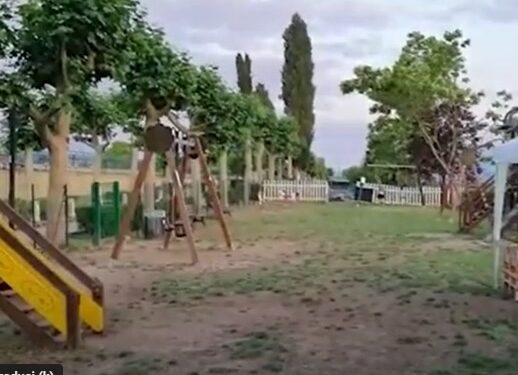 Nonostante i divieti si continuano a portare i cani nel Parco della Rimembranza a Polla. Il sindaco emana una nuova ordinanza