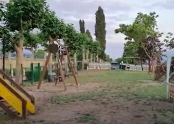 Nonostante i divieti si continuano a portare i cani nel Parco della Rimembranza a Polla. Il sindaco emana una nuova ordinanza