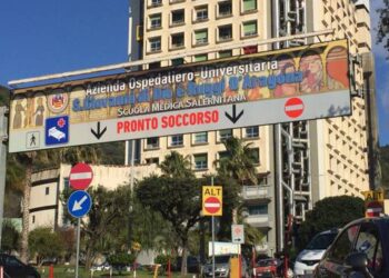Frasi omofobe e atteggiamenti vessatori. Nella bufera il dirigente Alfano della Scuola di Medicina a Salerno