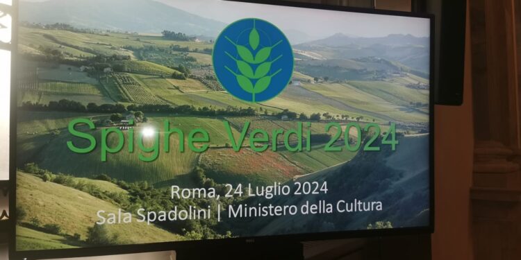 Assegnate le “Spighe Verdi”: 4 comuni salernitani tra i più virtuosi