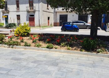 Fiori per abbellire le vie di Sassano: l’idea dell’assessore Spano