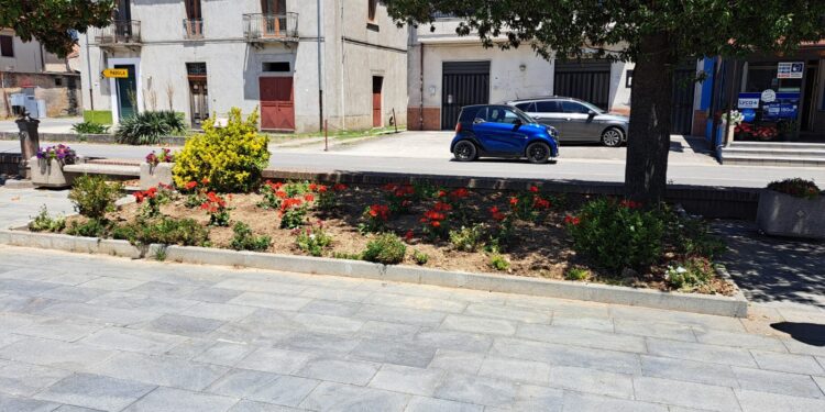 Fiori per abbellire le vie di Sassano: l’idea dell’assessore Spano