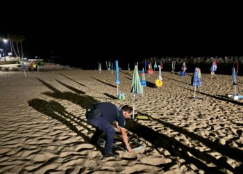 Centinaia di ombrelloni e sedie sdraio sequestrate sul lungomare di Castellabate