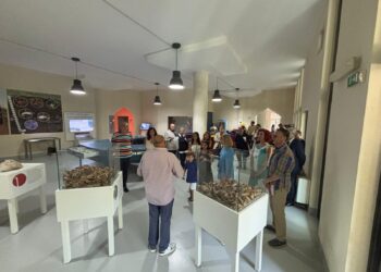 “Le radici della Biodiversità”: l’incontro svoltosi presso il Museo del Suolo di Pertosa