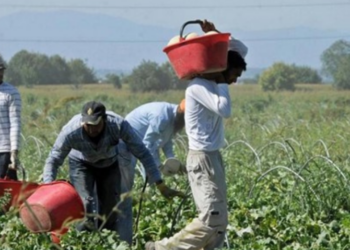 Il Presidio di Libera del Volture Alto-Bradano denuncia le condizioni dei lavoratori  migranti agricoli