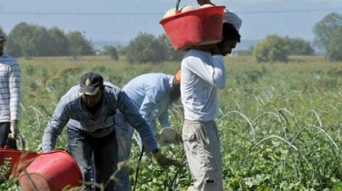 Il Presidio di Libera del Volture Alto-Bradano denuncia le condizioni dei lavoratori  migranti agricoli