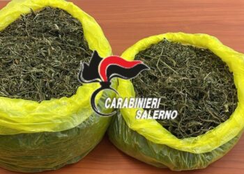 Spaccio di hashish e marijuana a Castelnuovo Cilento: un arresto