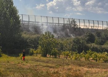 Sala Consilina. Ancora un incendio vicino l’A2: in fiamme le sterpaglie nei pressi del cavalcavia a Trinità