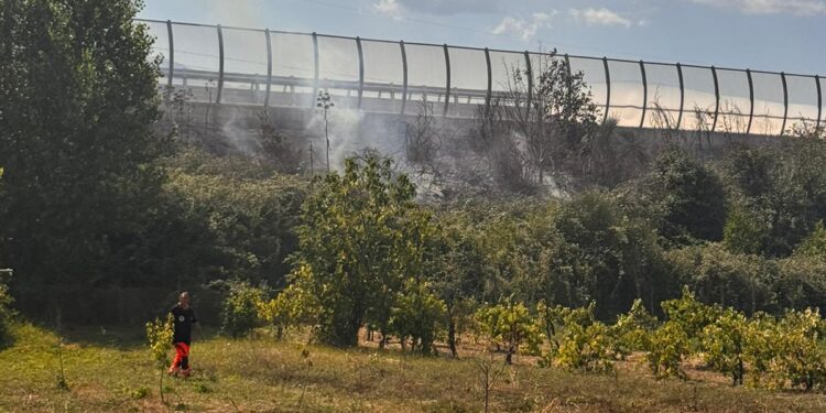 Sala Consilina. Ancora un incendio vicino l’A2: in fiamme le sterpaglie nei pressi del cavalcavia a Trinità