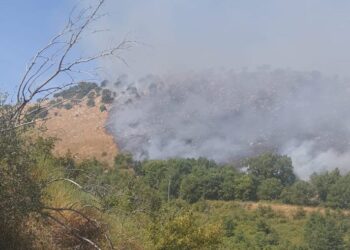 Allarme incendi: roghi anche  in montagna a Polla