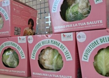 Importante riconoscimento per l’agricoltura salernitana: il cavolfiore della Piana del Sele è IGP