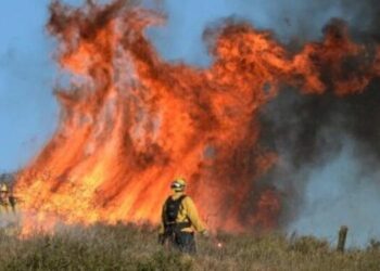 Incendi: “La provincia di Salerno in balìa dei piromani”. La denuncia di Coldiretti