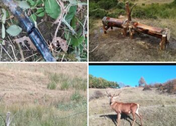 Sabotaggio alla condotta idrica dell’area faunistica di Sasso di Castalda