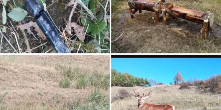 Sabotaggio alla condotta idrica dell’area faunistica di Sasso di Castalda