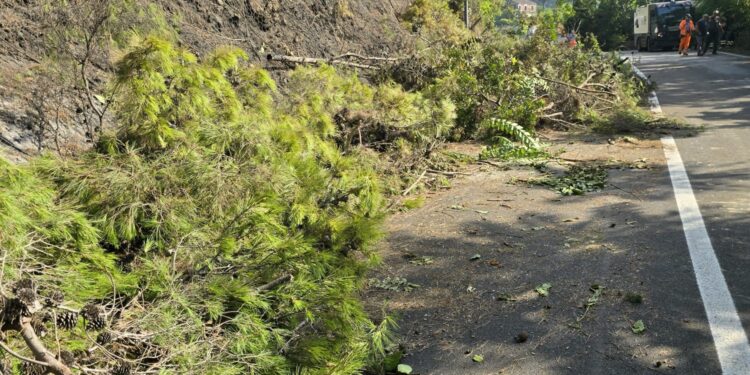 L’incendio sul monte Bonadies a Salerno provoca la caduta di alberi: chiuso ancora il Viadotto Gatto