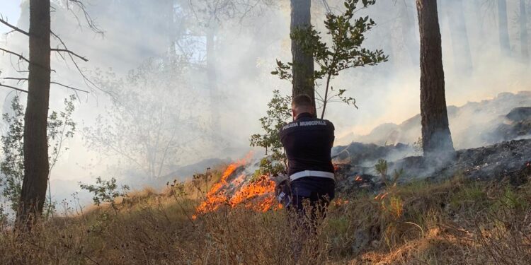 Rogo in montagna sopra località “San Raffaele” a Sala Consilina: non c’è tregua nel Vallo di Diano sul fronte degli incendi