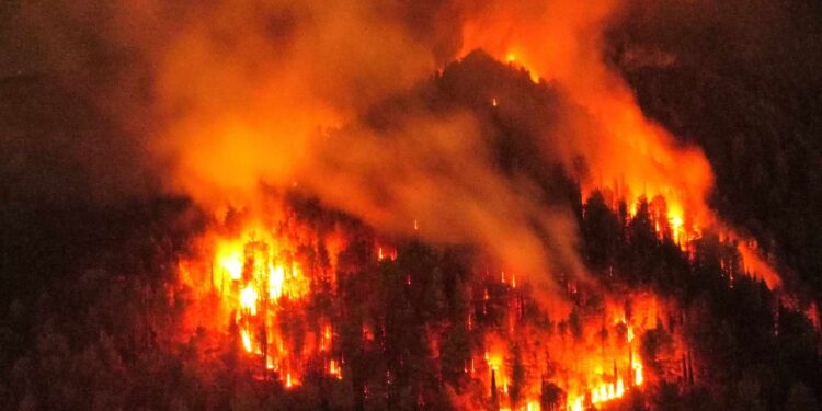 Brucia il Vallo di Diano, a Sala Consilina fuoco su tre fronti. Sarebbe stato individuato il piromane di Atena