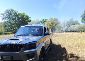 Incendio a Monte San Giacomo prontamente domato e spento dai volontari della protezione civile “Gruppo Lucano”