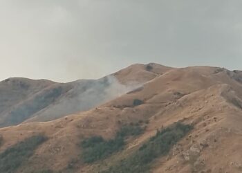 Concluse le operazioni di spegnimento dell’incendio a Teggiano: bruciati 12 ettari di vegetazione