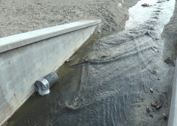 Escrementi, topi e blatte sulle spiagge a Salerno: la denuncia di cittadini e turisti